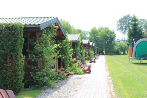 Koło Żółwia